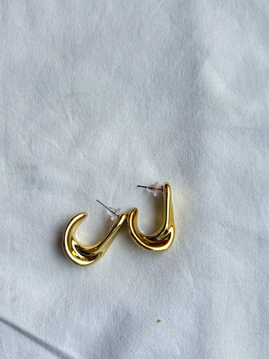 Hook Earring